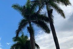 IMG_0038