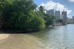 IMG_0117