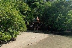 IMG_0127