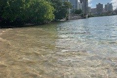 IMG_0128