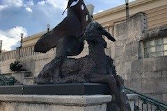 IMG_0225