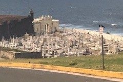 IMG_0261