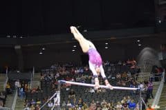 Faith Torrez