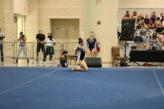 LauraFX11