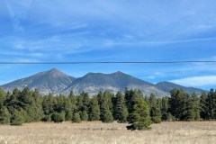 IMG_0058