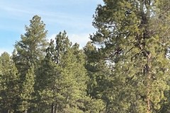 IMG_0060