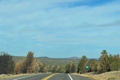 IMG_0061
