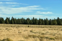 IMG_0063