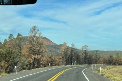 IMG_0079