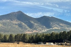 IMG_0087