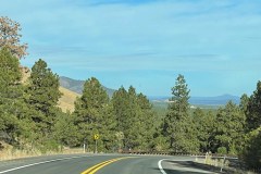 IMG_0090