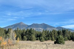 IMG_0096