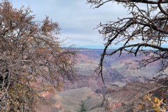 IMG_0202