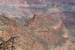 IMG_0206
