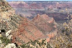 IMG_0223
