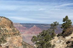 IMG_0229