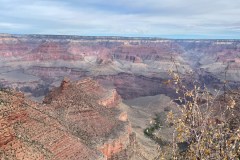 IMG_0245