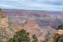 IMG_0259