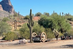 IMG_0628