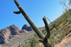 IMG_0667
