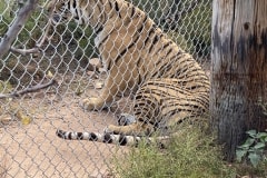 2798007B-6A8C-44A5-A619-A4E045672A56