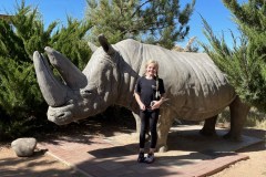 AE12D1E5-BDE8-46E5-BF99-298A0EFEDD89