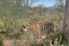 D7783857-FDD0-47B4-96B5-C97F94FD6661