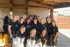 DEF64797-BED3-4810-9ABA-A47082042858