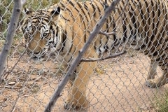 F0CA5B33-7509-48C1-8CA0-94ED8BB07FB2