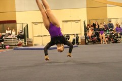 IMG_4604