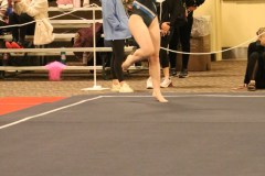 IMG_5986