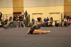 IMG_6311