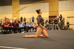 IMG_6317