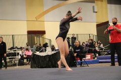 IMG_6351