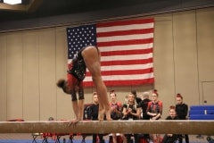 IMG_6648