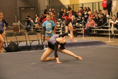 IMG_7333