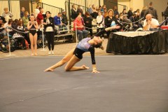 IMG_7445