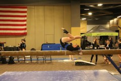 IMG_7562