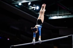 EllieBars