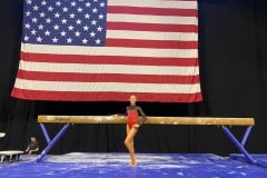 QuinnFlag