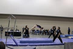 IMG_8181