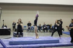 IMG_8185