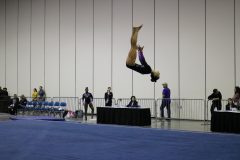 IMG_0549