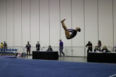IMG_0551