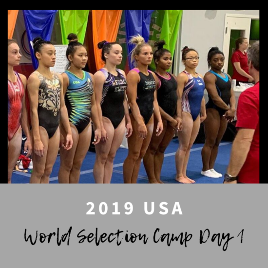 2019 World Selection Region 5 Gymnastics Insider
